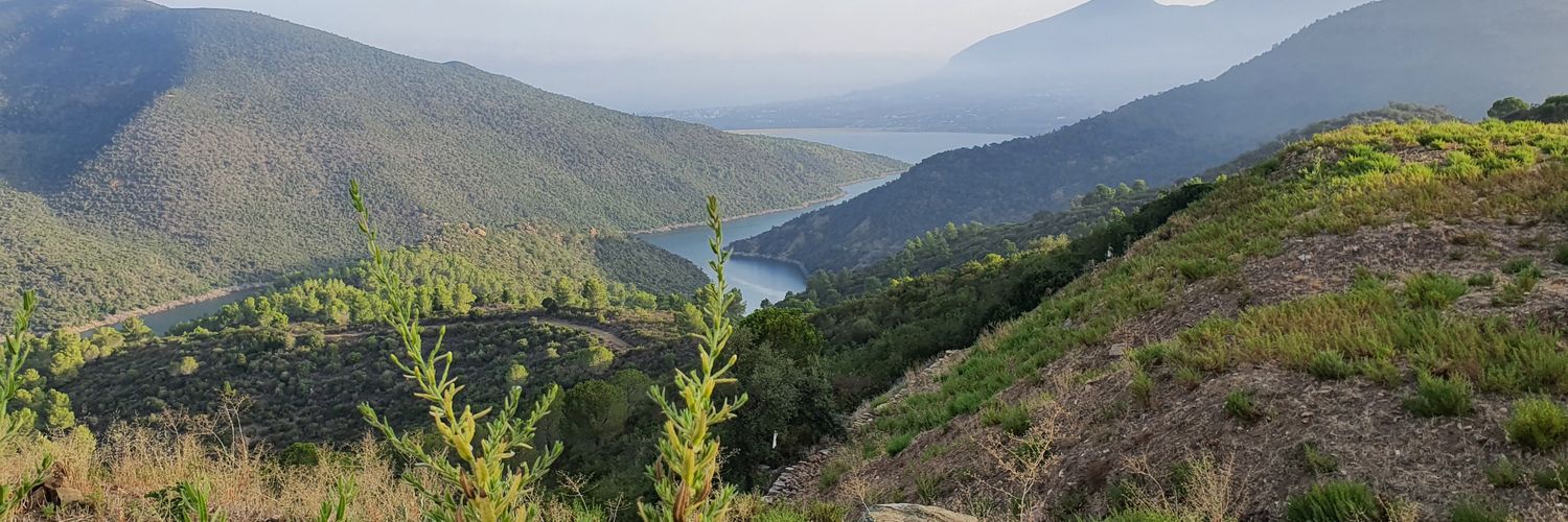 ait_amran's profile banner image