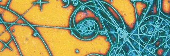 Lila_J_'s profile banner image