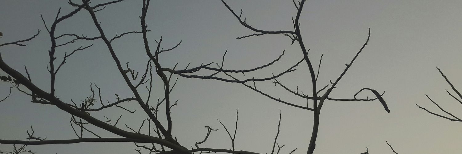Pause_star's profile banner image