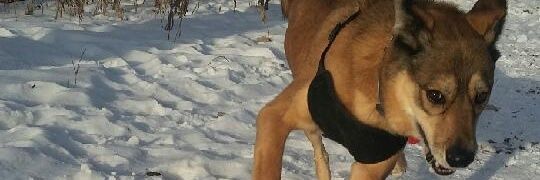 DanMorier's profile banner image