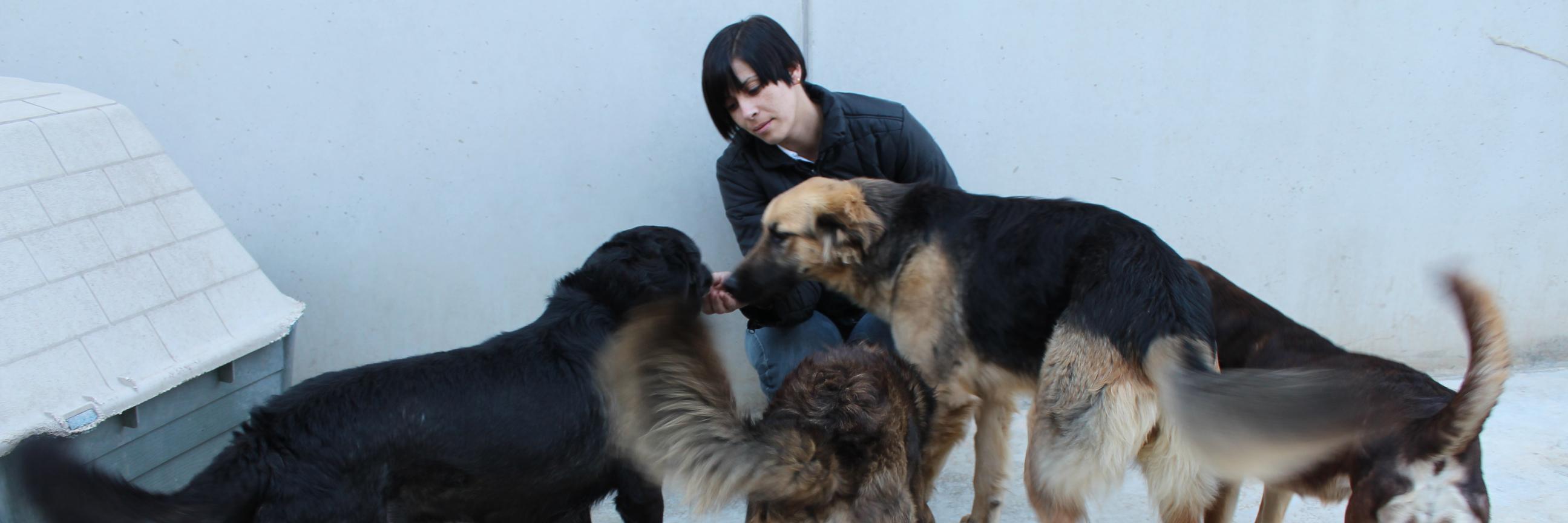 REFUDeAngeles's profile banner image