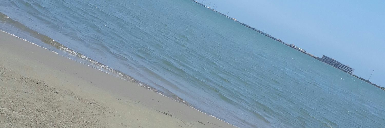 Silale_'s profile banner image