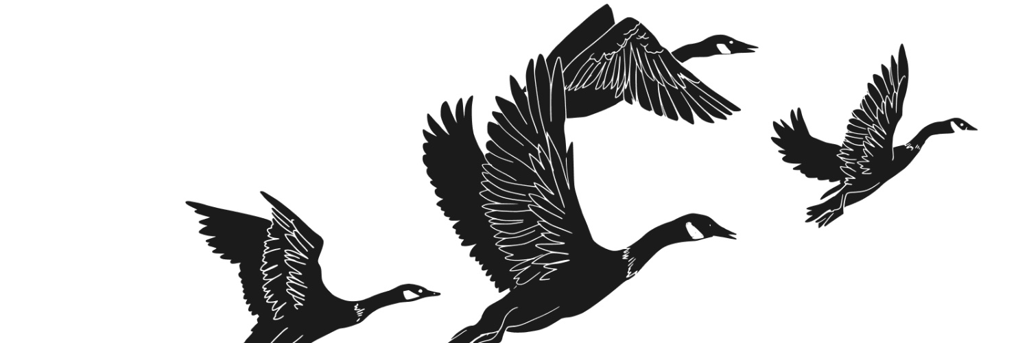 NKY7's profile banner image