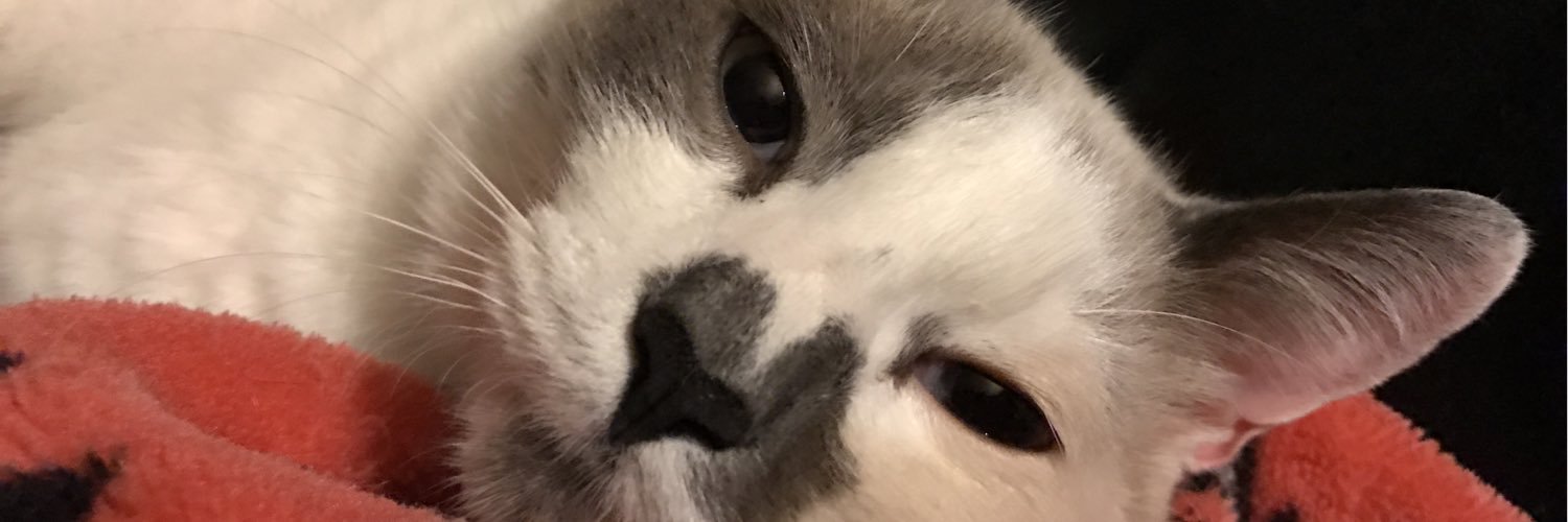 AleciaMathis3's profile banner image