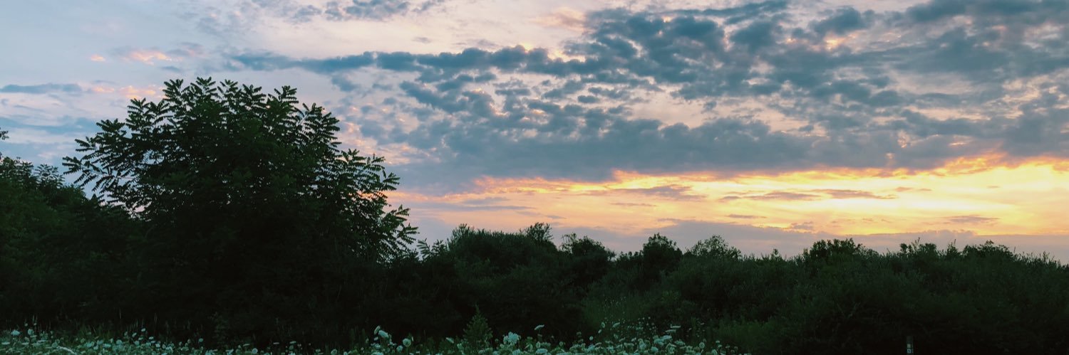 KaylynPingel's profile banner image