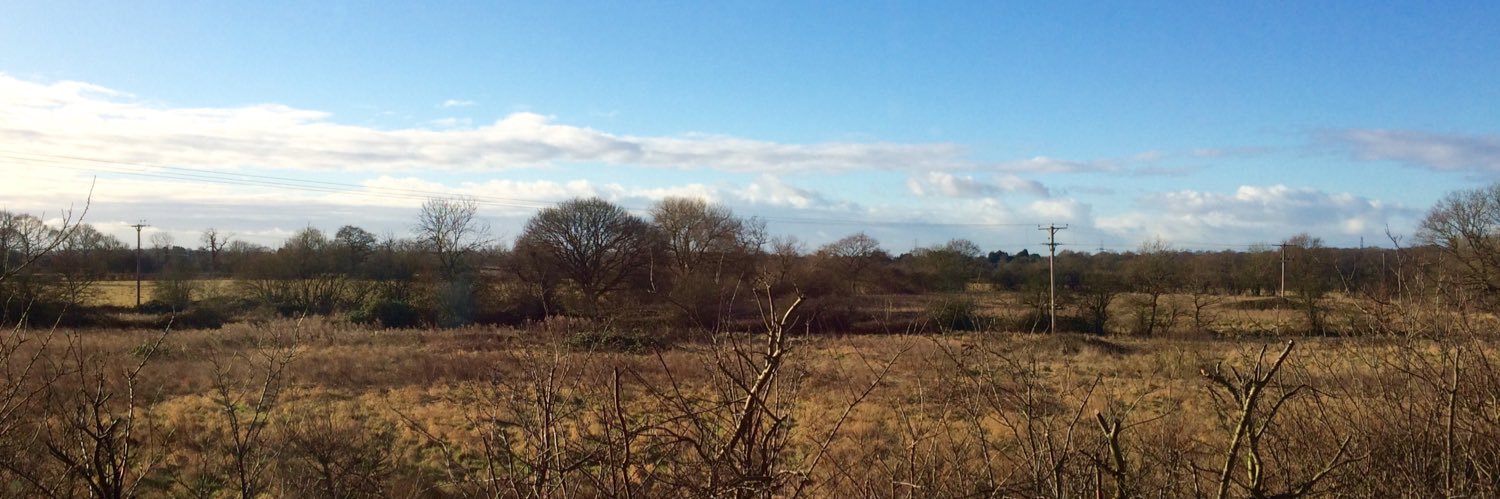 Anna Ingamells banner