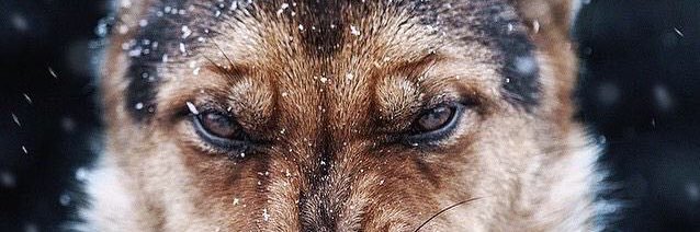 BSKEEZE06's profile banner image