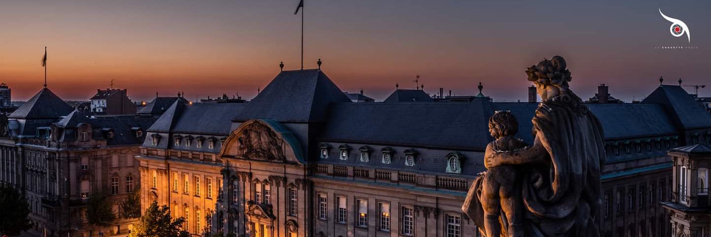 TenenbaumA's profile banner image