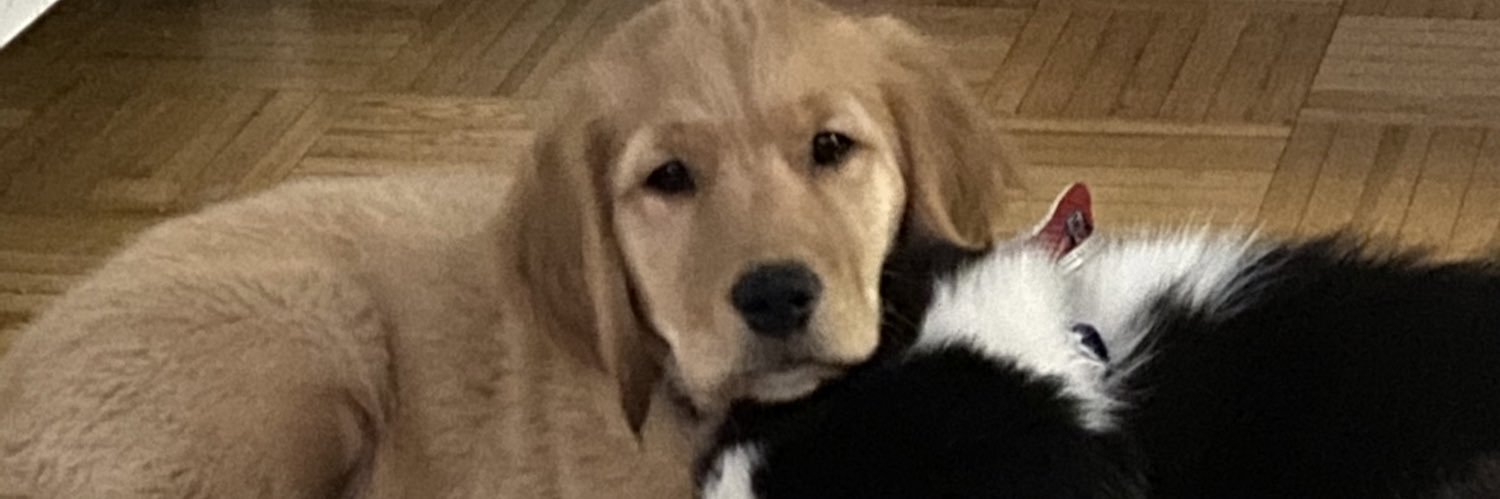 jojoanne14's profile banner image