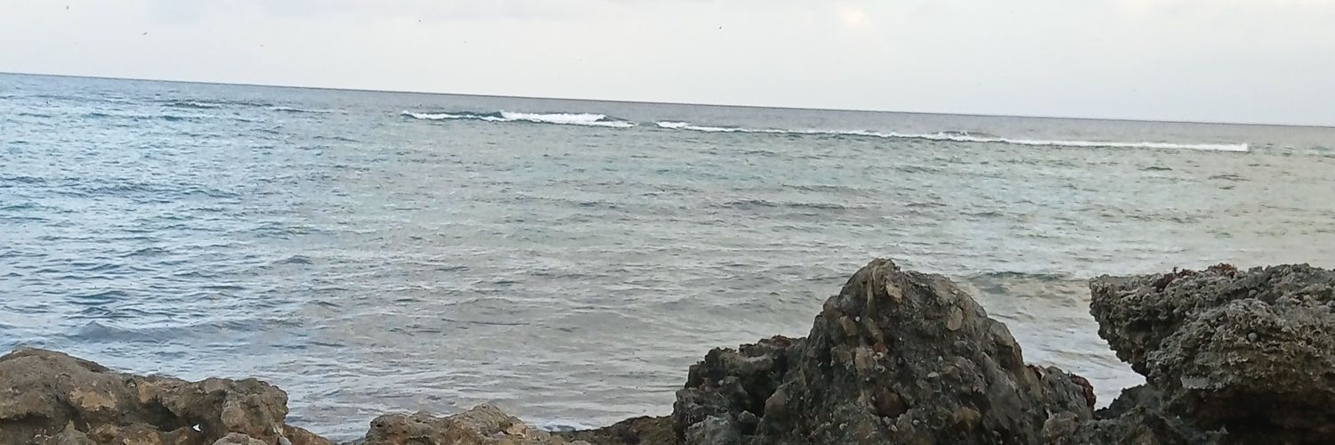 ksonib's profile banner image