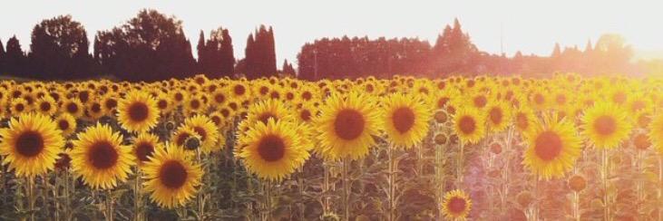 caayyyoo's profile banner image