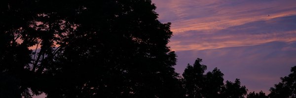 WCACTV Profile Banner