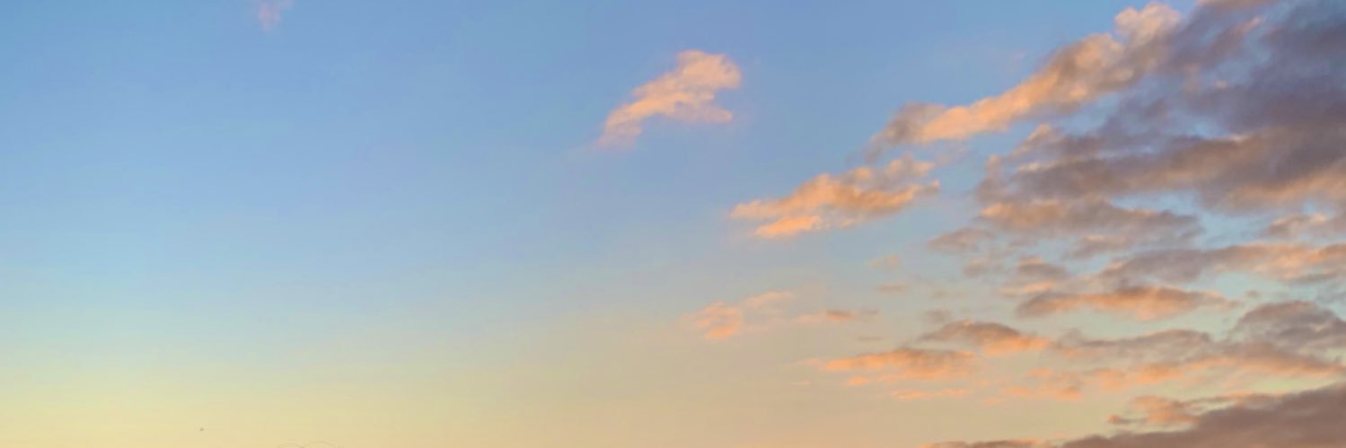 AmaraMoreno's profile banner image