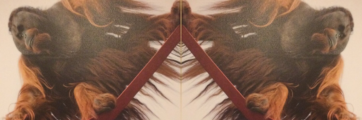 ✨Kt Lynn✨ banner