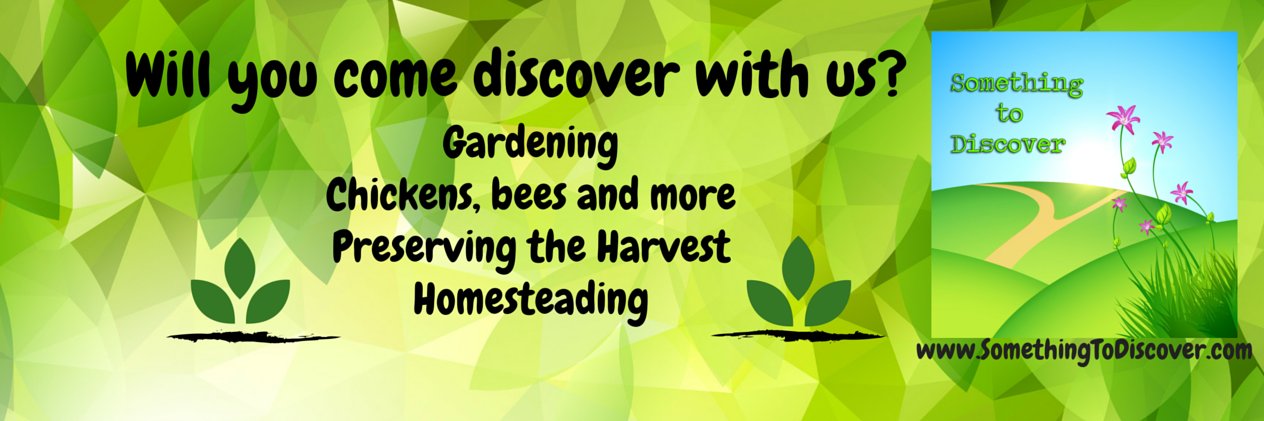 STDiscover2015's profile banner image