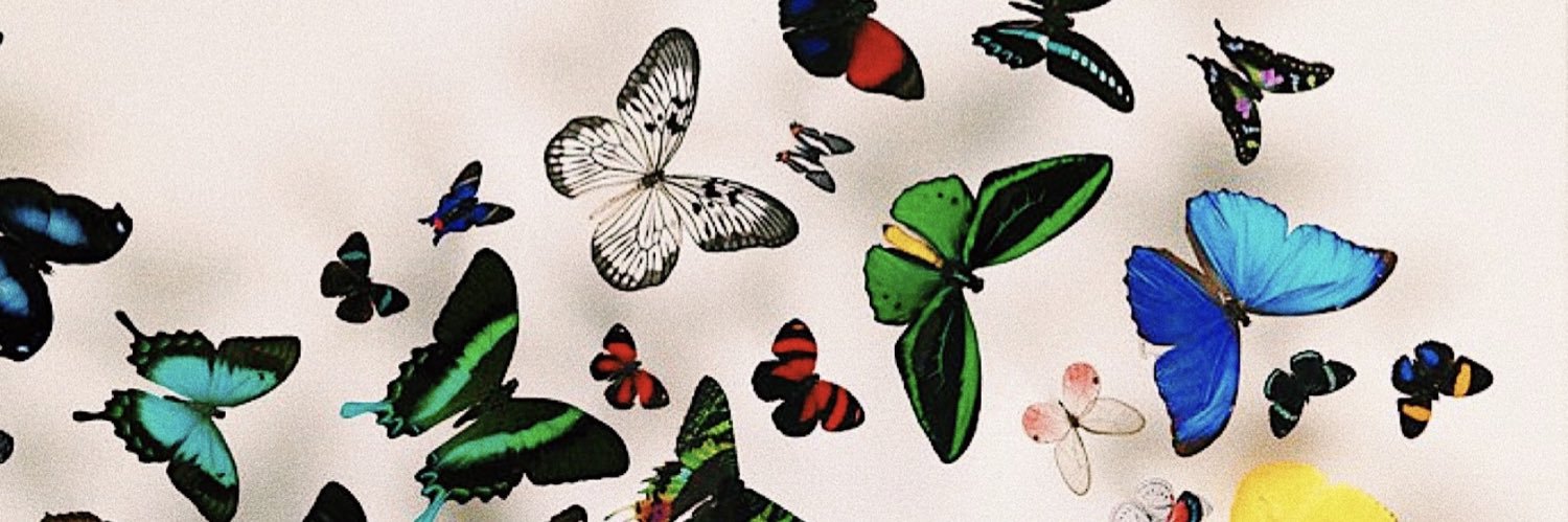 ChloeLPepper's profile banner image