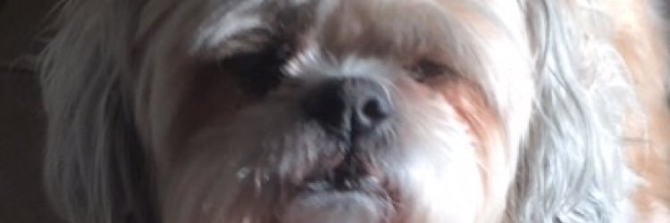 jakeromphf_'s profile banner image