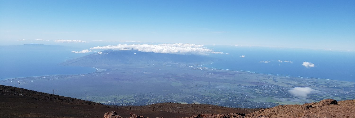 Wendy Jabkowski banner