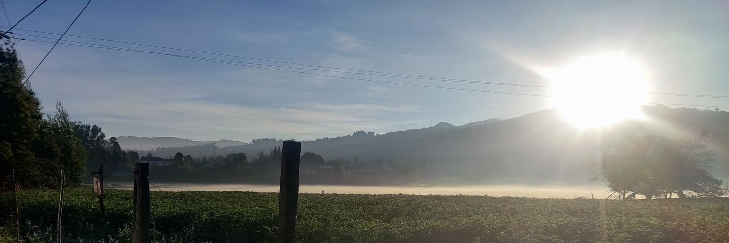 mafeta04's profile banner image