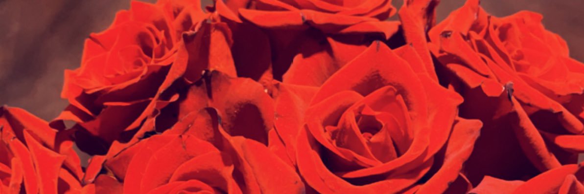 صالح سلمان الدوسري banner