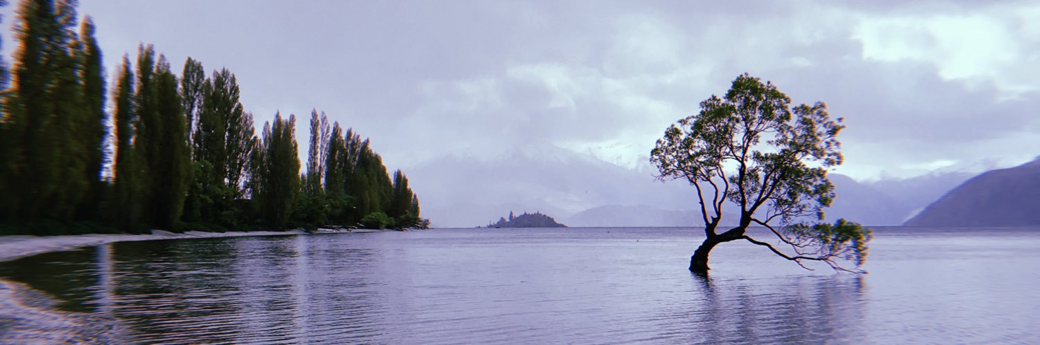 EllieRoseSmales's profile banner image