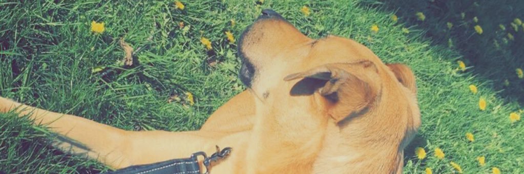 bubbleslover13's profile banner image