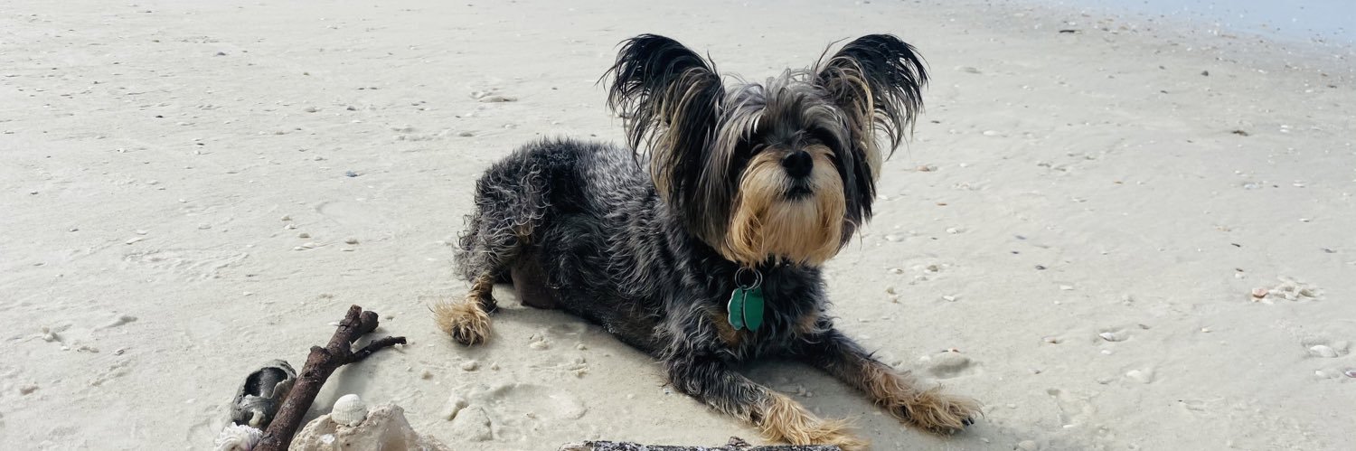GlassCityGame's profile banner image