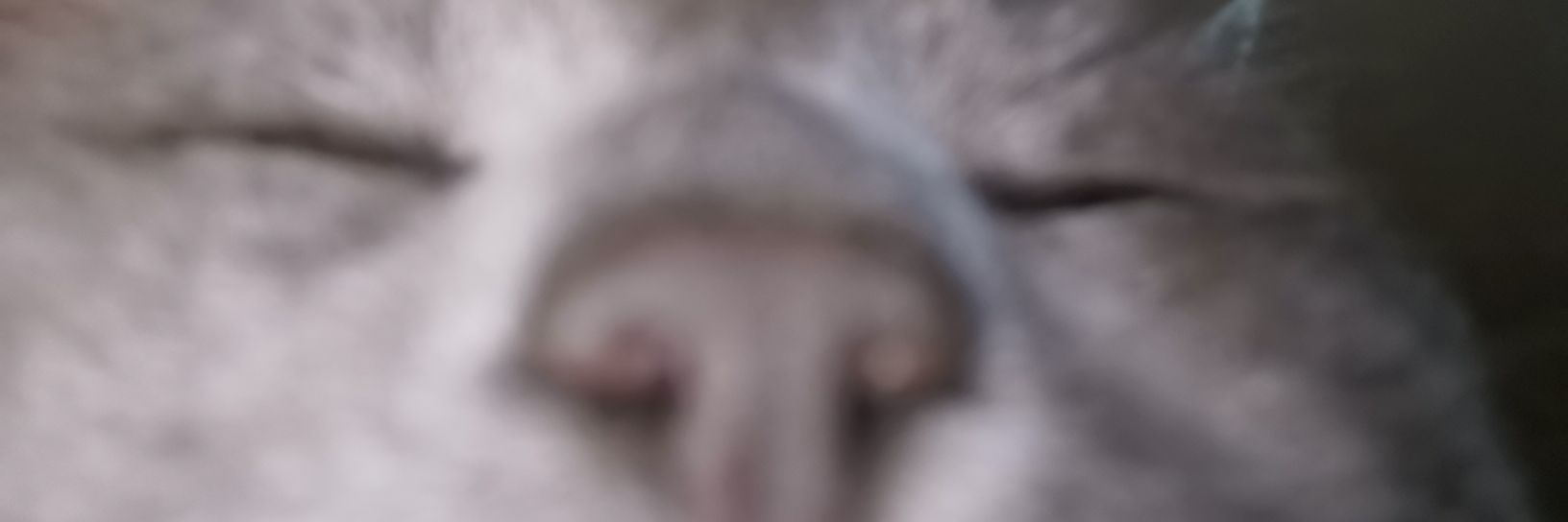 Malloow_'s profile banner image