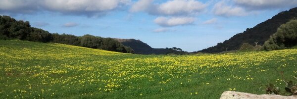 vicentmifsud Profile Banner