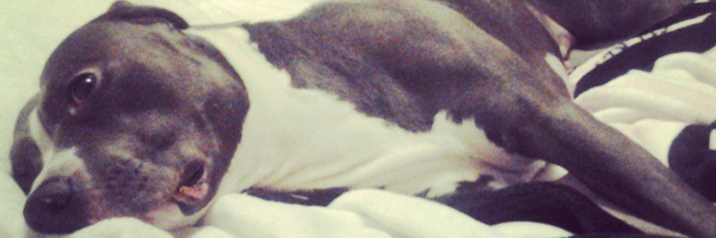 keeeeks14's profile banner image