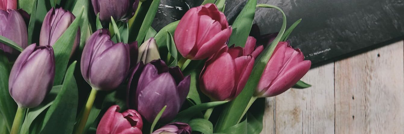 Twitter banner for @nuptials