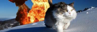 MsAsarese's profile banner image