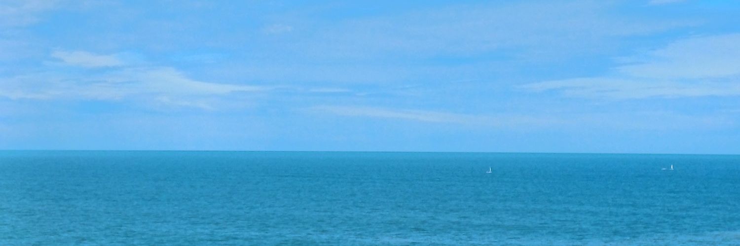 caroled__'s profile banner image
