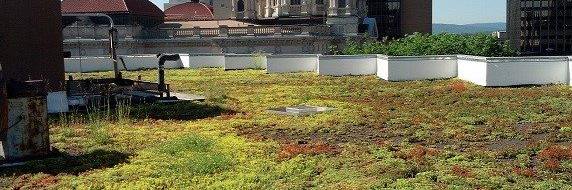 Natural Systems Engineering banner