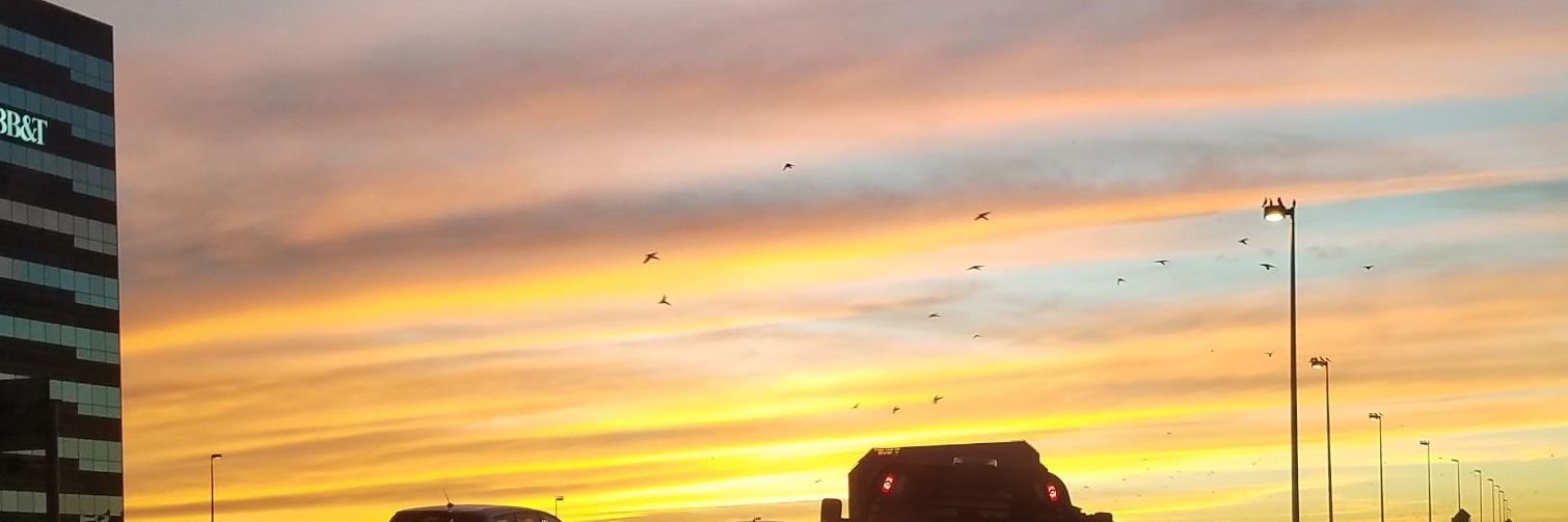 tweetermadman's profile banner image