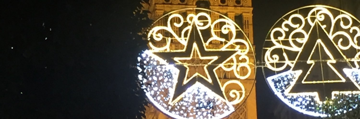 robertabernita's profile banner image