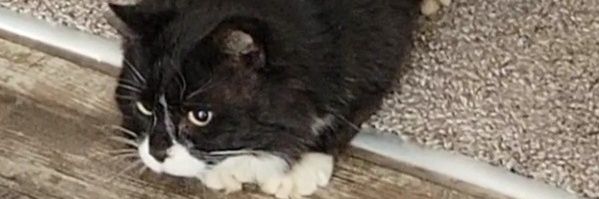BobbyW1953's profile banner image