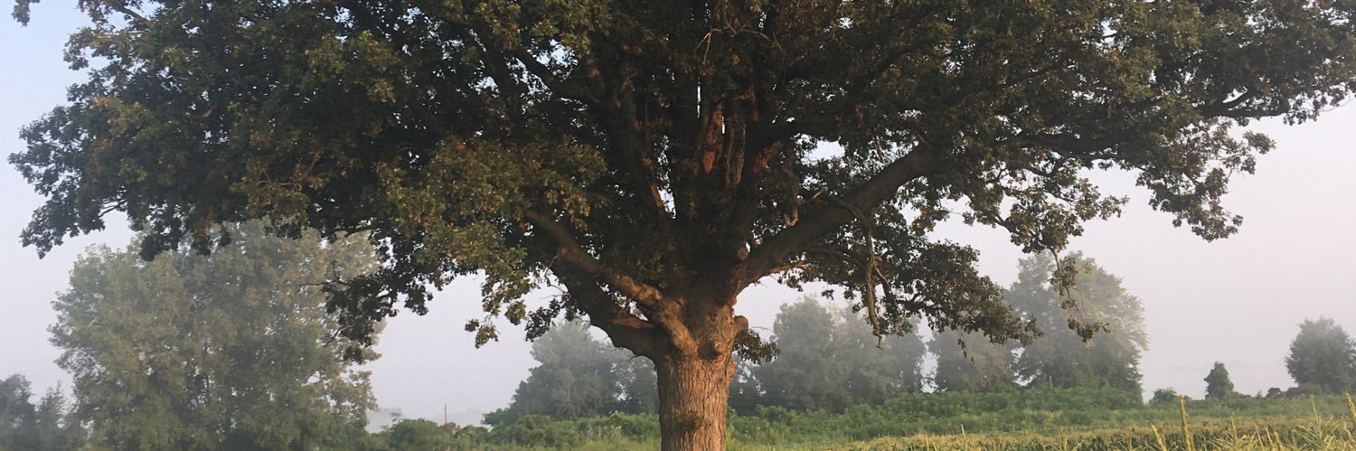 Mr_Parr_'s profile banner image