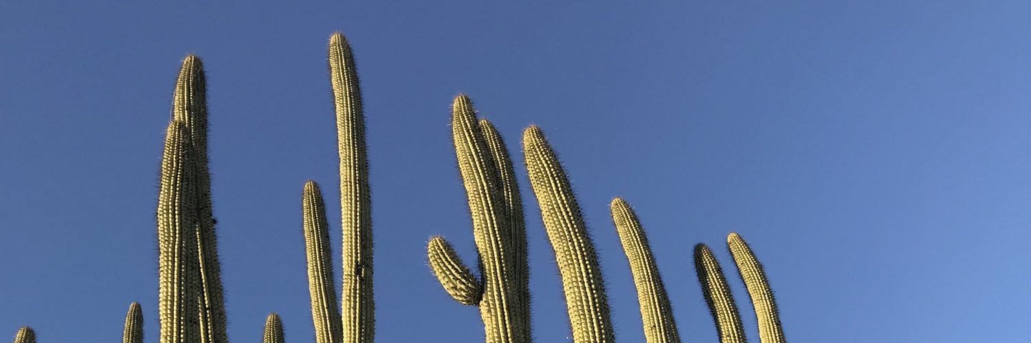 ferhernandezro's profile banner image