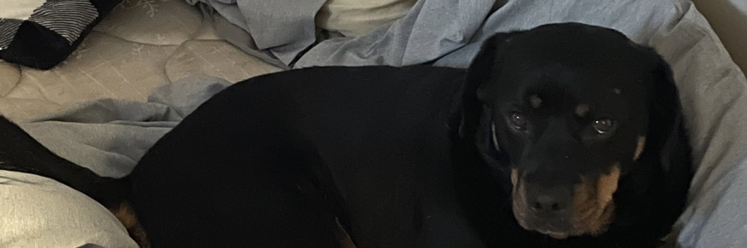 Blakegibson4's profile banner image
