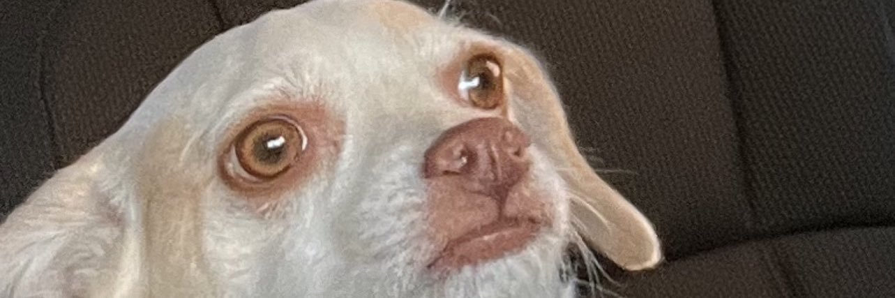 Cilantro0's profile banner image