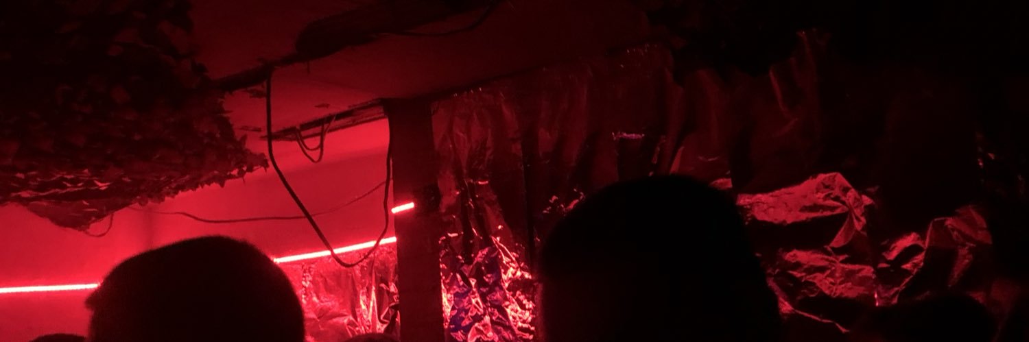 LenaRicard's profile banner image