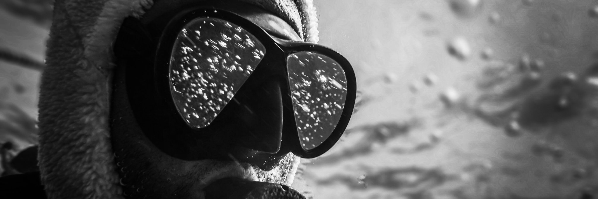 rainbowreef's profile banner image