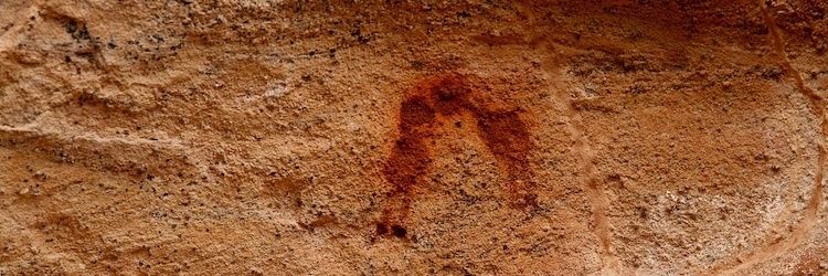 otrera8's profile banner image