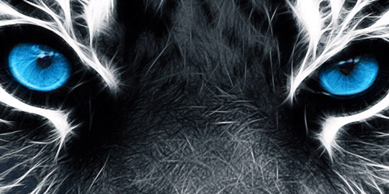 LorenaPuerta's profile banner image