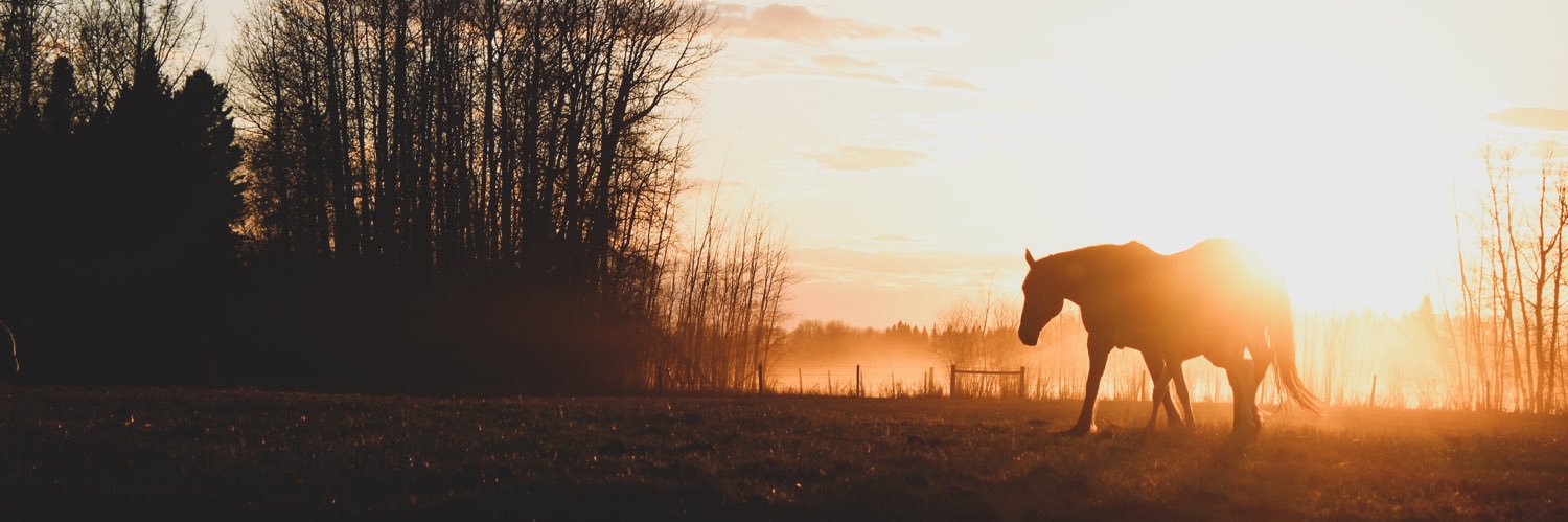 TiegganR's profile banner image