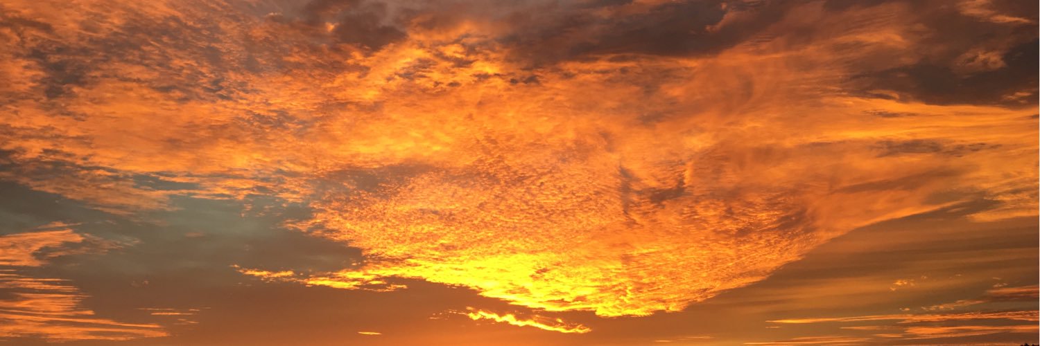 Phil Smith-Hanes banner