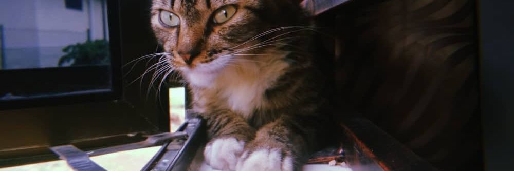 NabilFiq_'s profile banner image