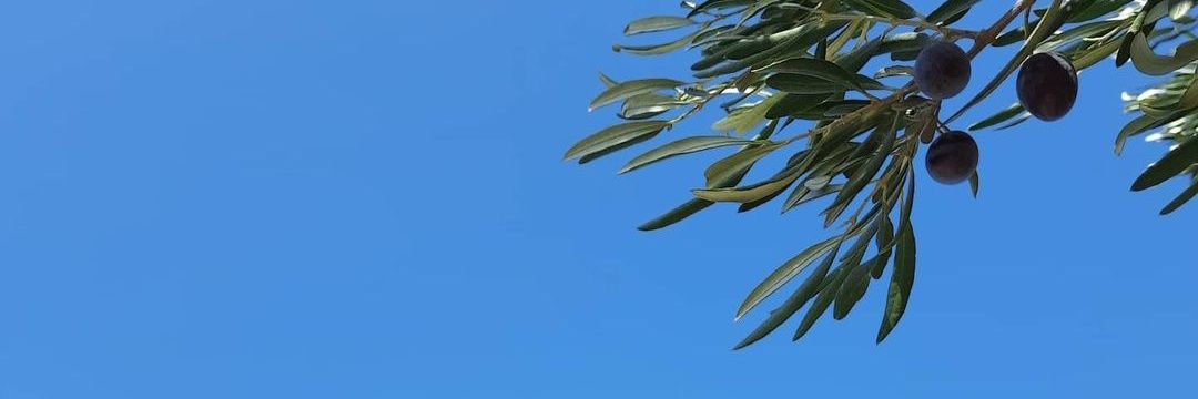 kasapdoktor_'s profile banner image