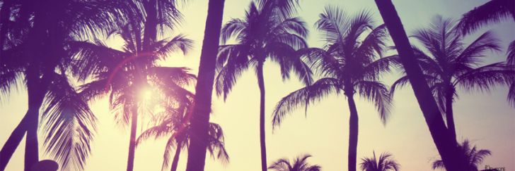 ReCornudassOk's profile banner image